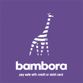Bambora payment